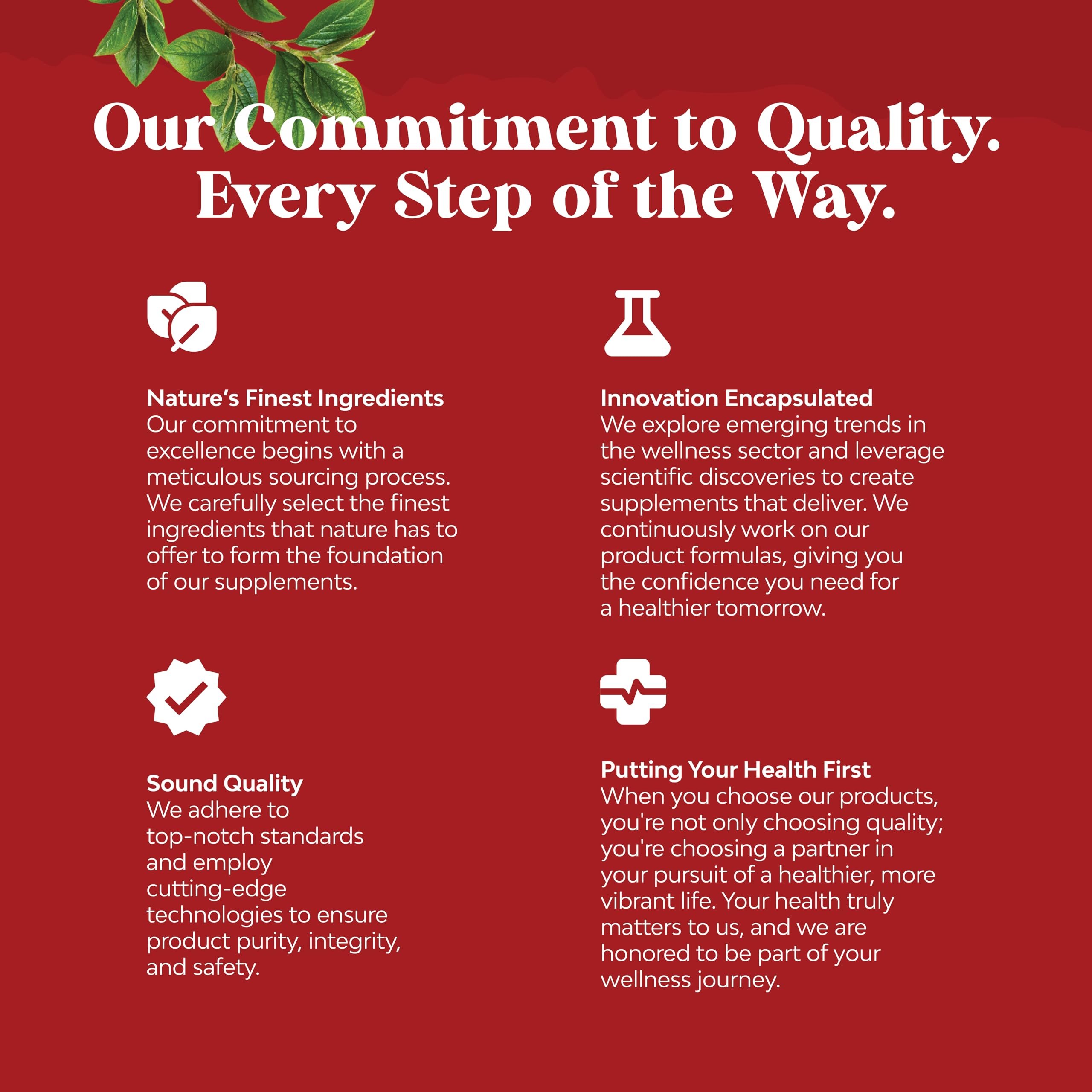 Natures Craft Immunity-supporting Omega-3 image conveys daily resilience benefits
