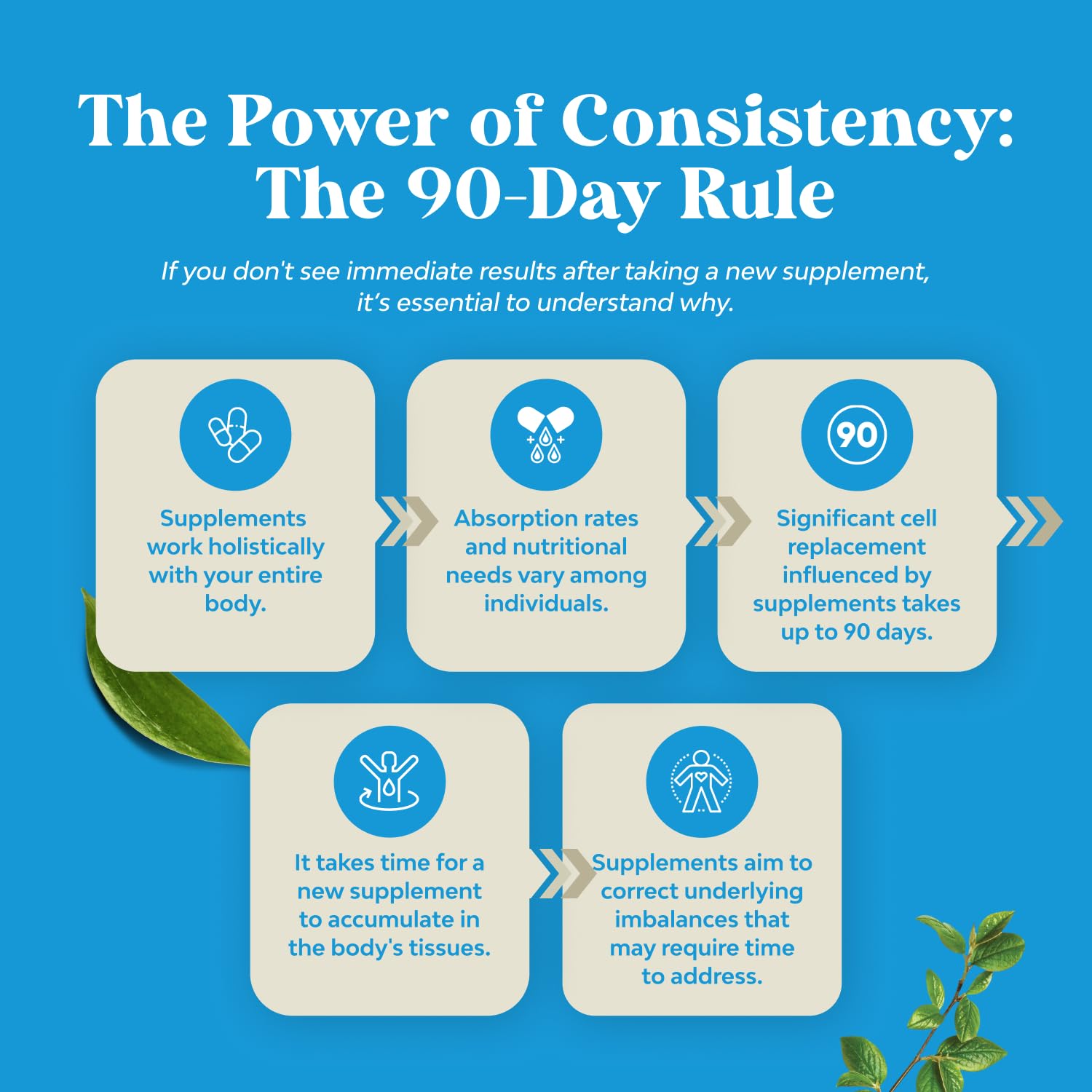Ingredient highlight focuses on ALA and ALC benefits for cognitive and metabolic support.