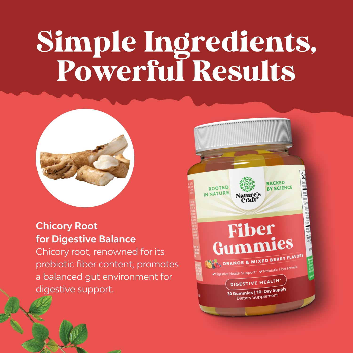 Nature's Craft ingredients label highlighting inulin and chicory root fiber