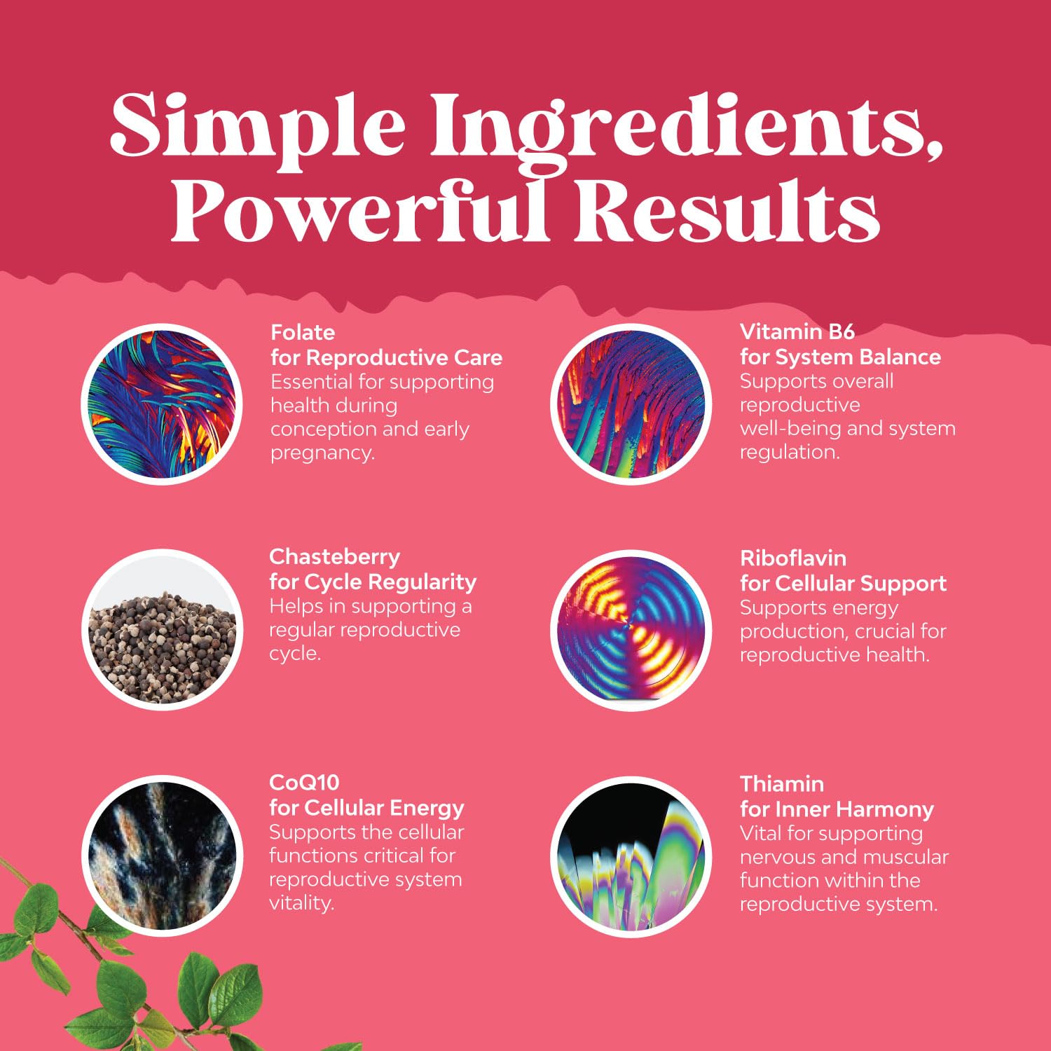 Natures Craft ingredients label close-up highlighting nutrient blend.