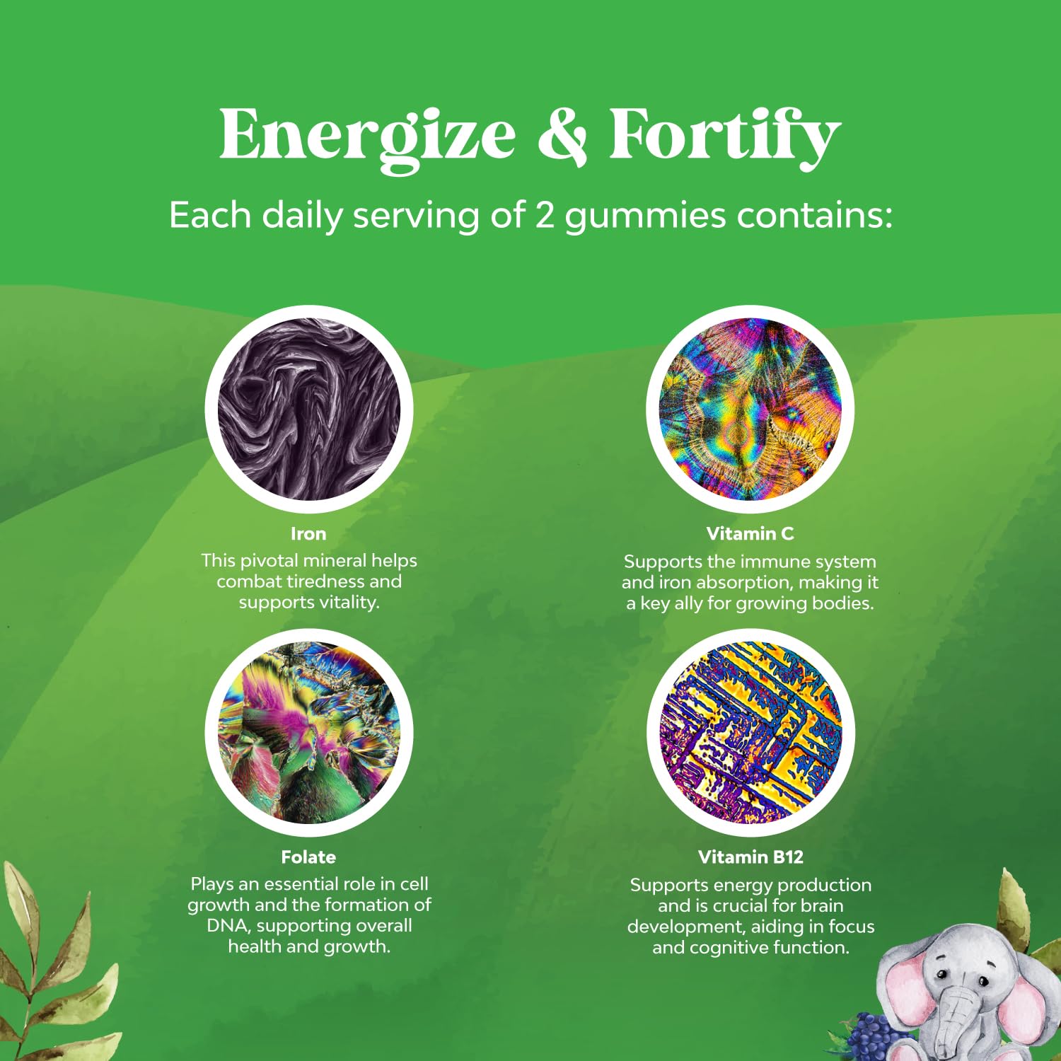 Natures Craft Kids Iron Gummies packaging demonstrates easy daily routine.