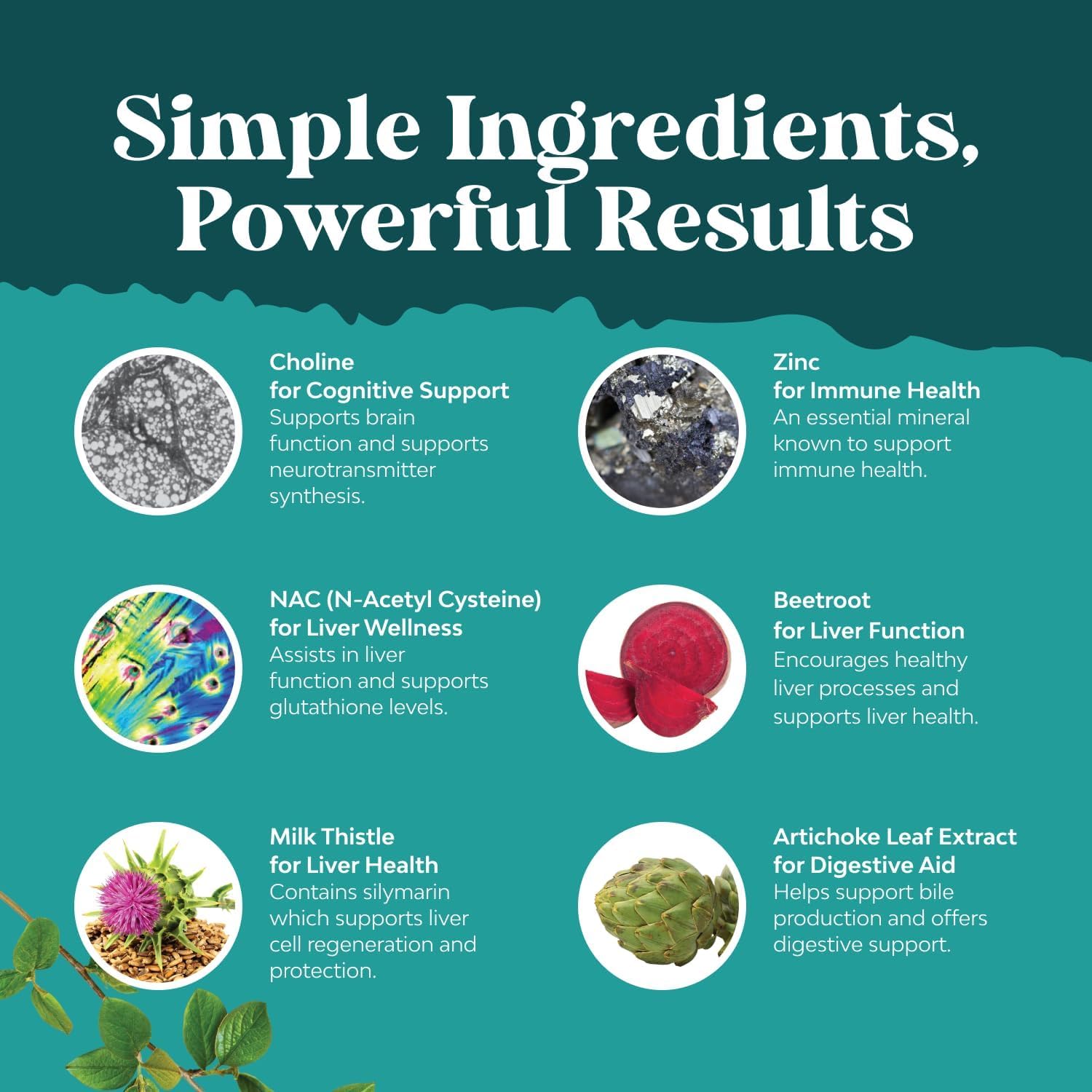 Natures Craft Turmeric component shown in antioxidant blend.