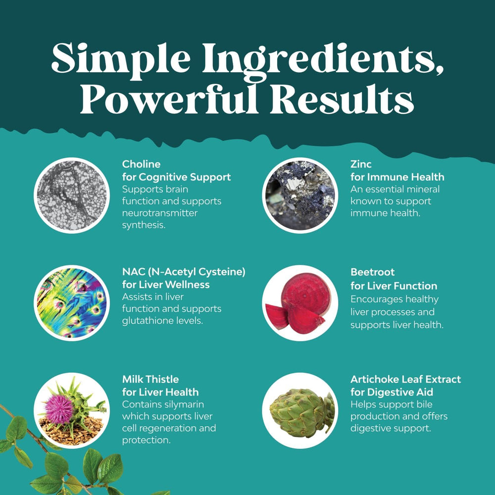 Natures Craft Turmeric component shown in antioxidant blend.