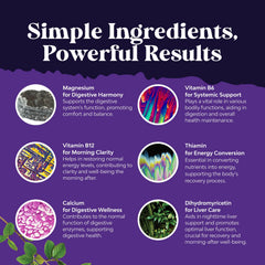 Natures Craft milk thistle visual underscores liver-supporting antioxidants for daily wellness.