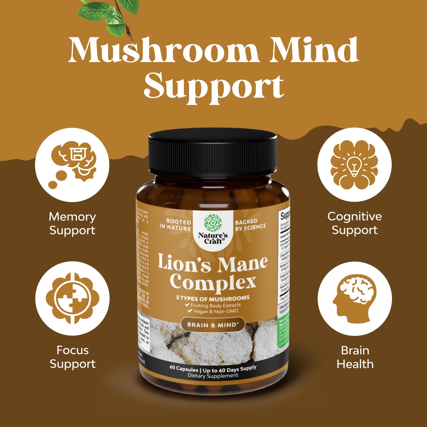 Natures Craft Mushroom Complex ingredients Chaga Reishi graphic highlights antioxidant synergy