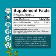 Natures Craft Niacinamide 500mg capsules close-up emphasizing compact daily dose.