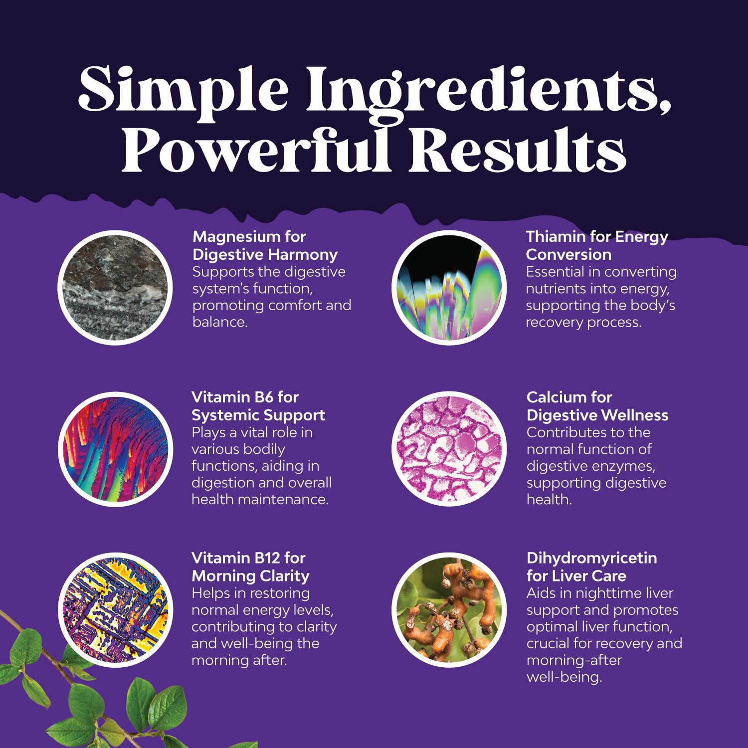 Nature's Craft Nighttime Liver Detox features antioxidant-rich ingredients.