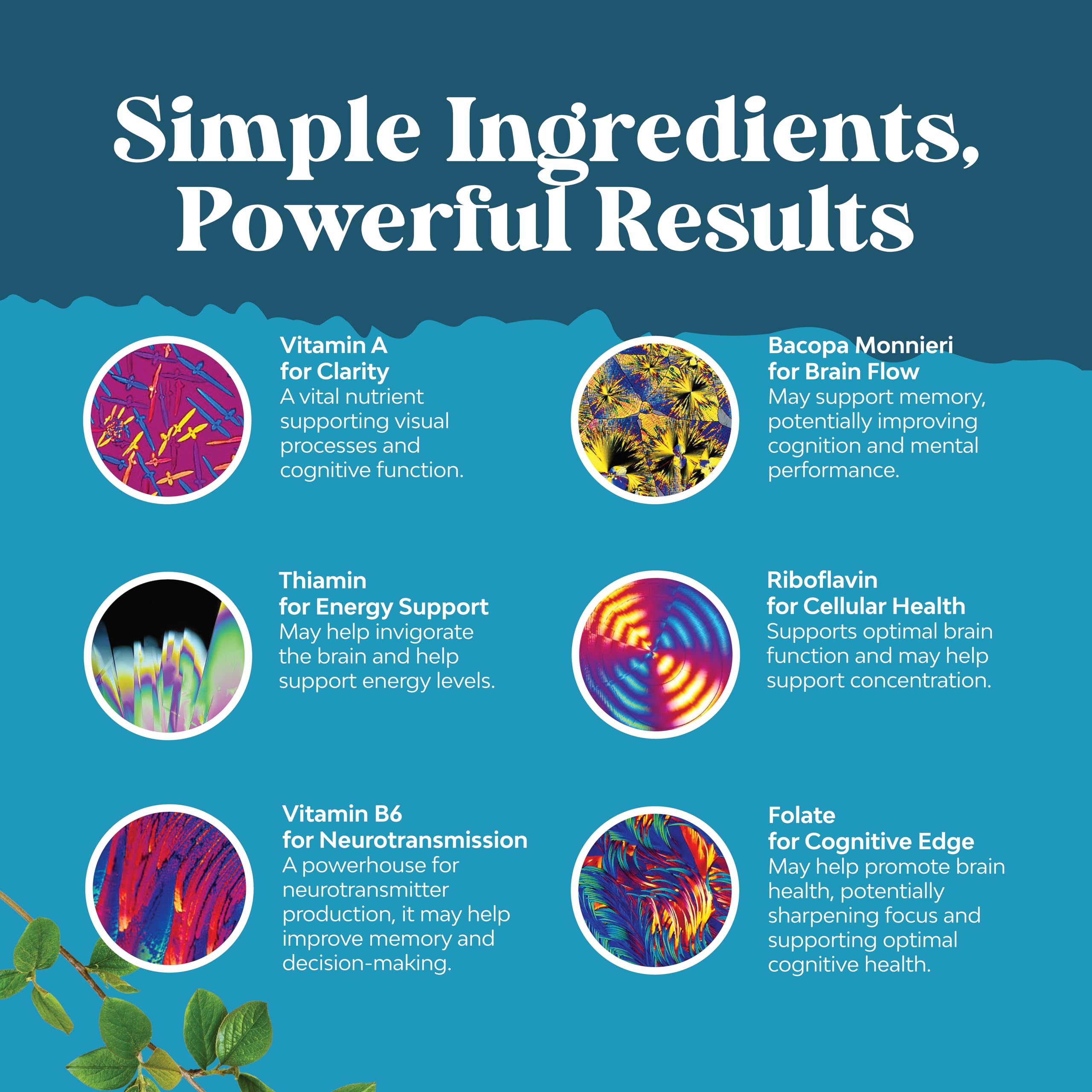 Natures Craft Nootropic GMP facility image indicating quality and safety in production