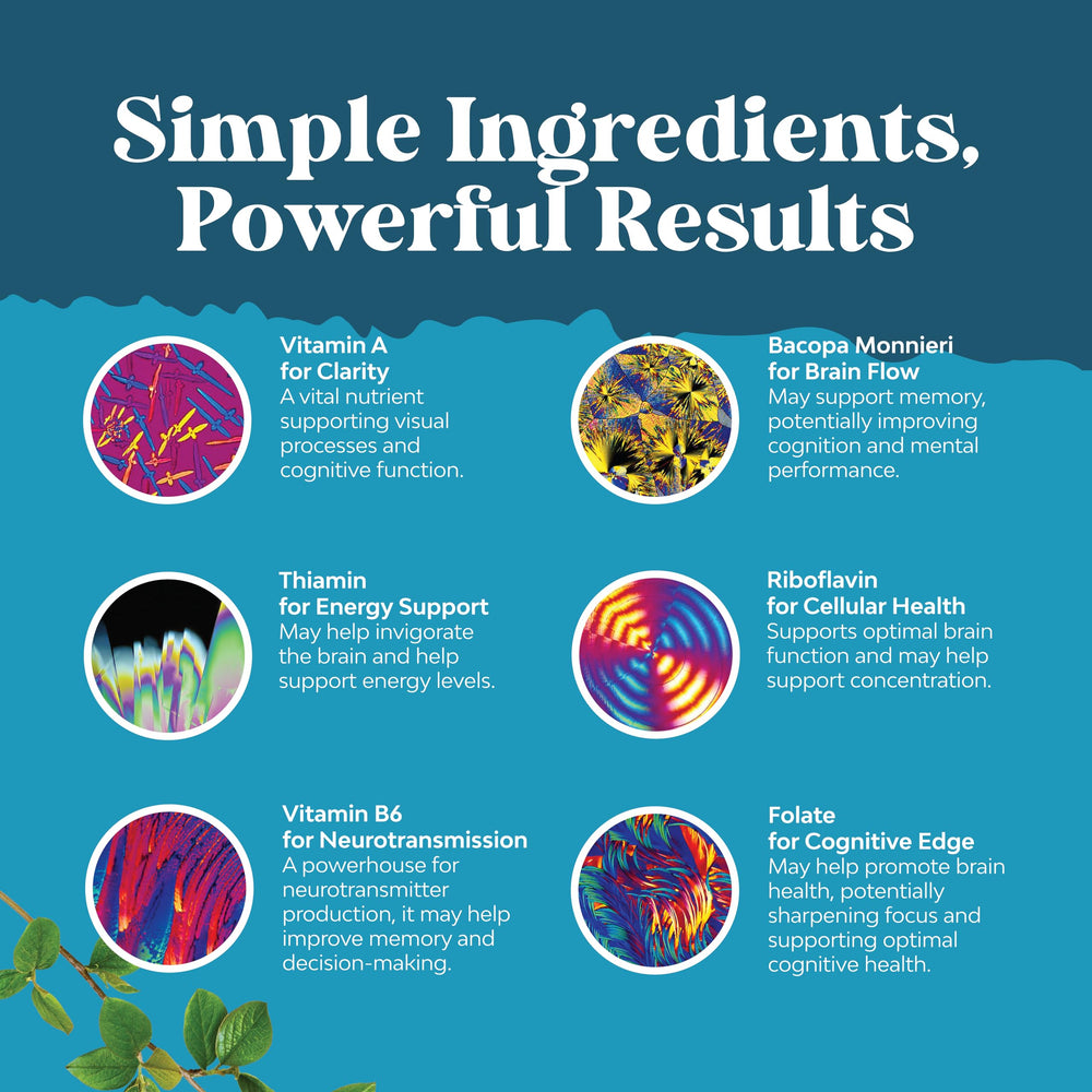 Natures Craft Nootropic GMP facility image indicating quality and safety in production