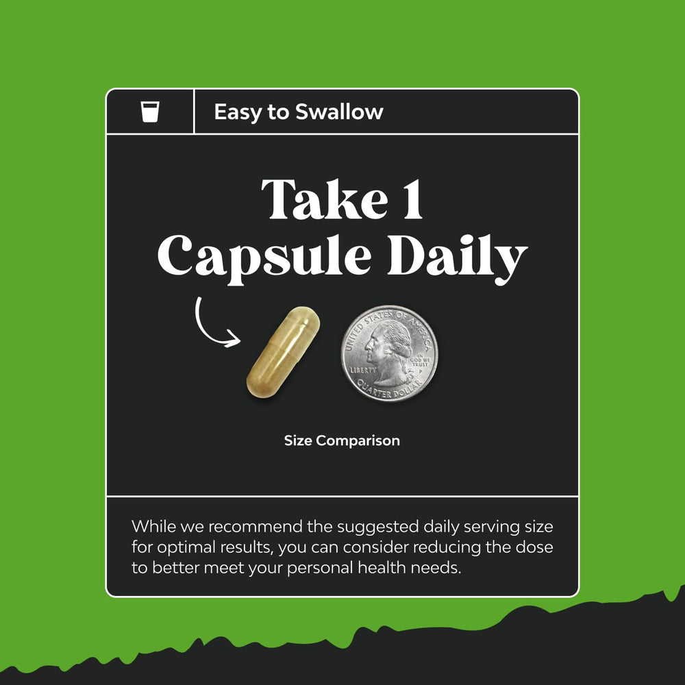 Natures Craft memory capsules arranged for daily focus and recall.