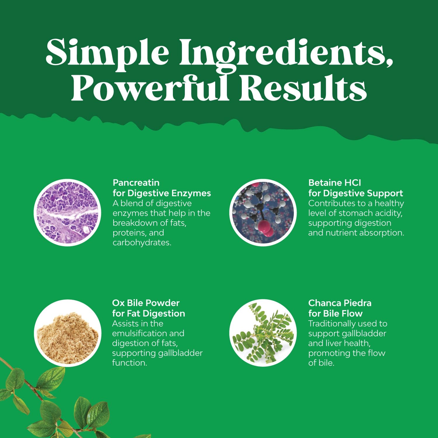 Natures Craft Packaging scene showing product details and quality assurance.