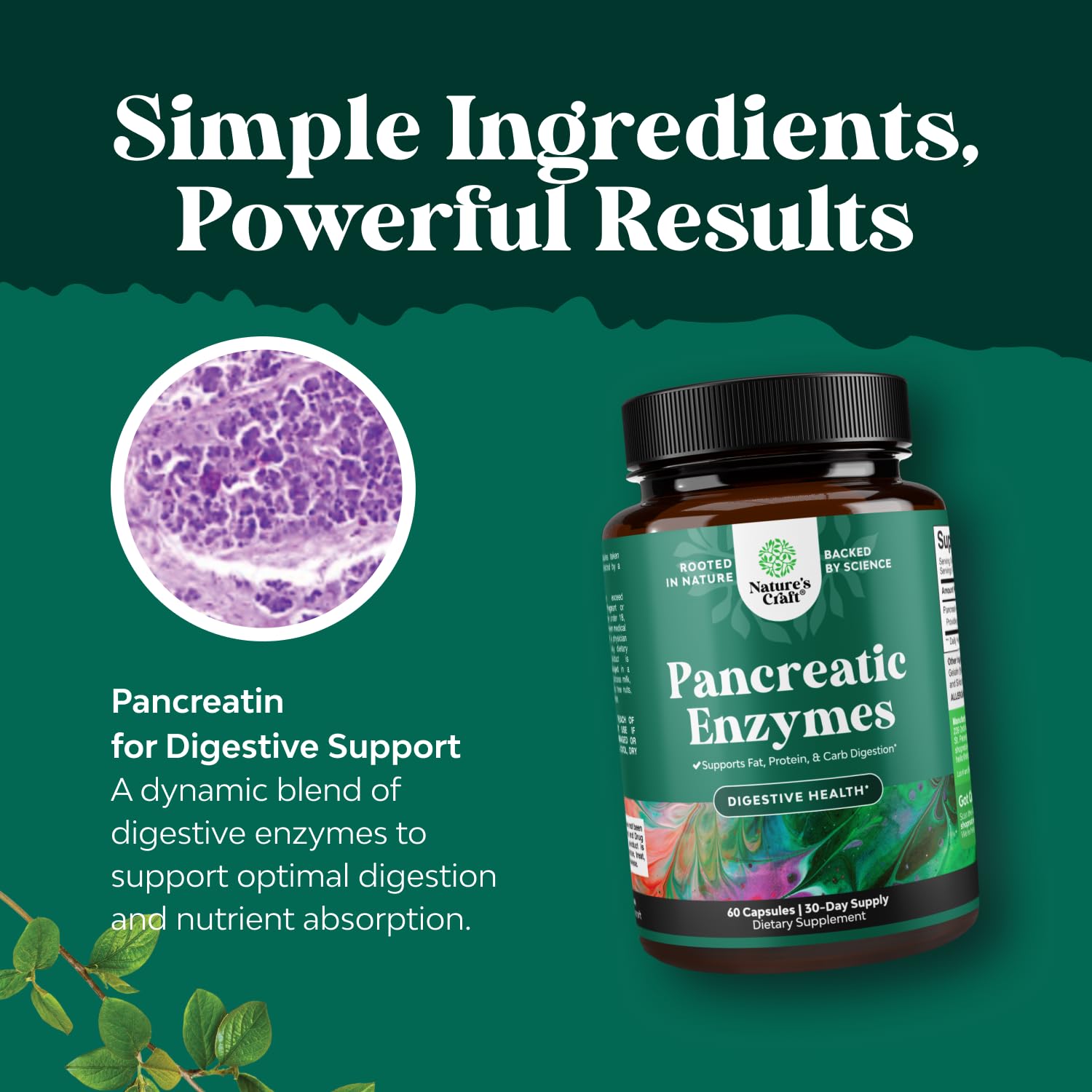 Natures Craft Pancreatin digestive enzymes pack highlighting 3-in-1 formula