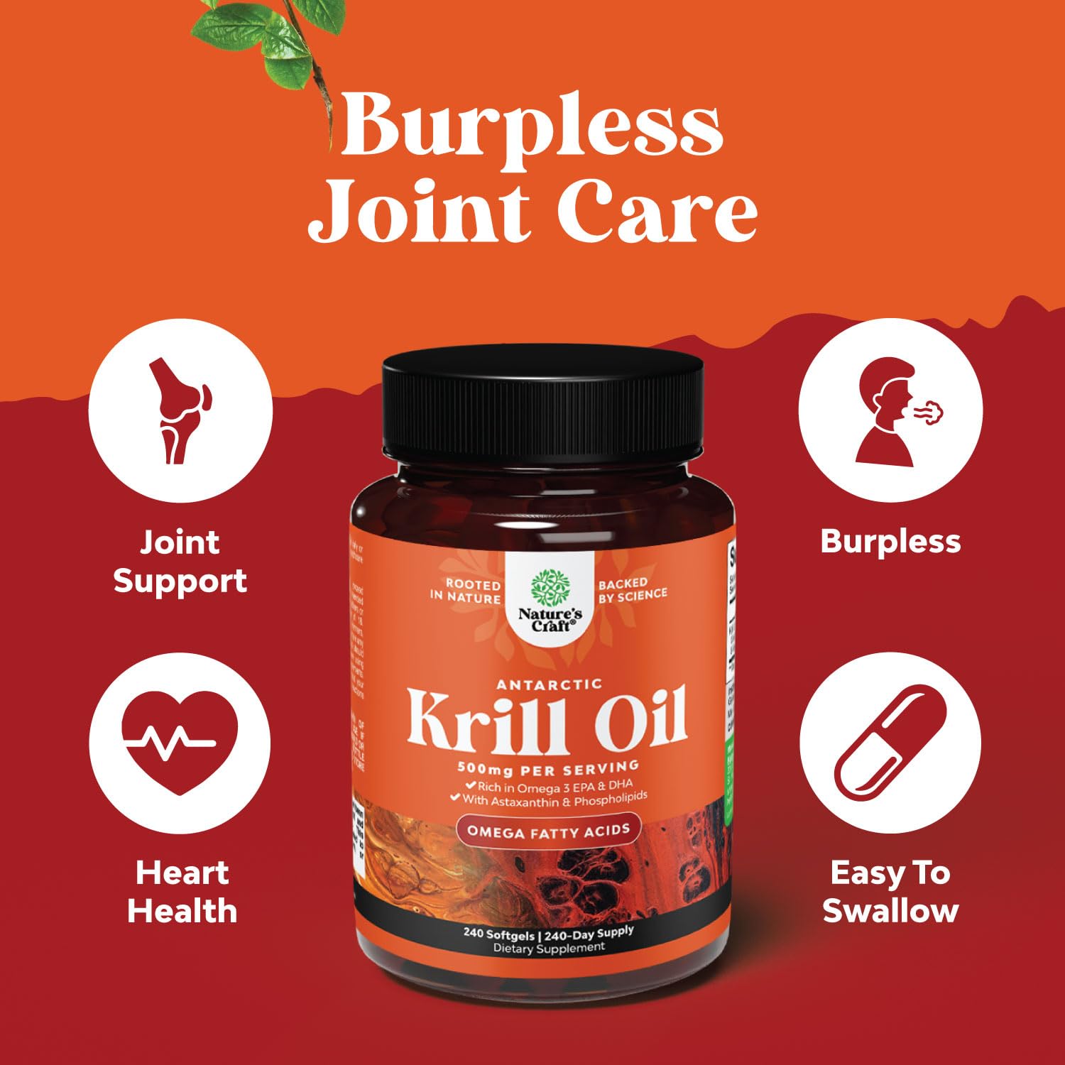 Natures Craft krill oil highlighting phospholipid structure to aid absorption