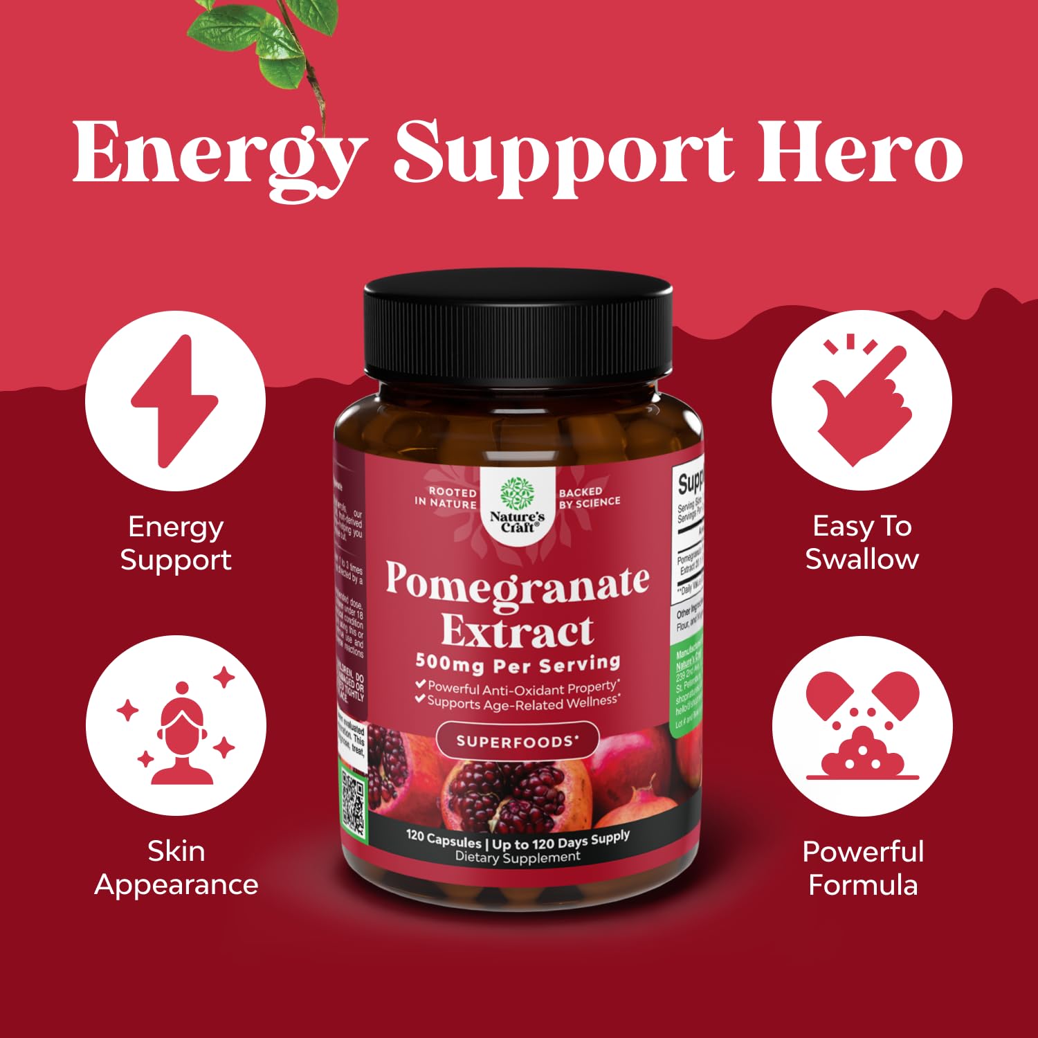 Natures Craft pomegranate extract powder close-up highlighting natural polyphenols.