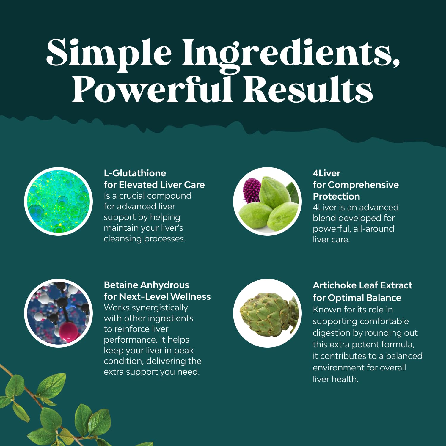 Nature's Craft Pro Liver Support packaging box emphasizes GMP quality