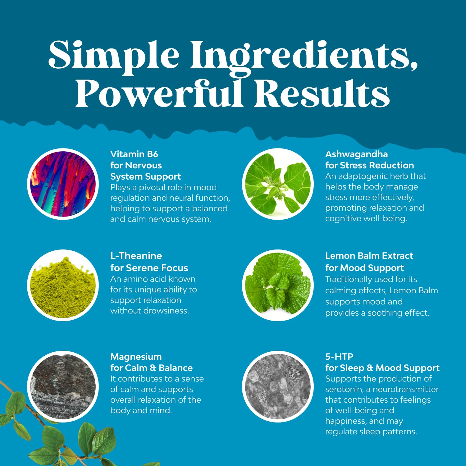 Natures Craft Pure Calm gummies held in hand for daily routine.