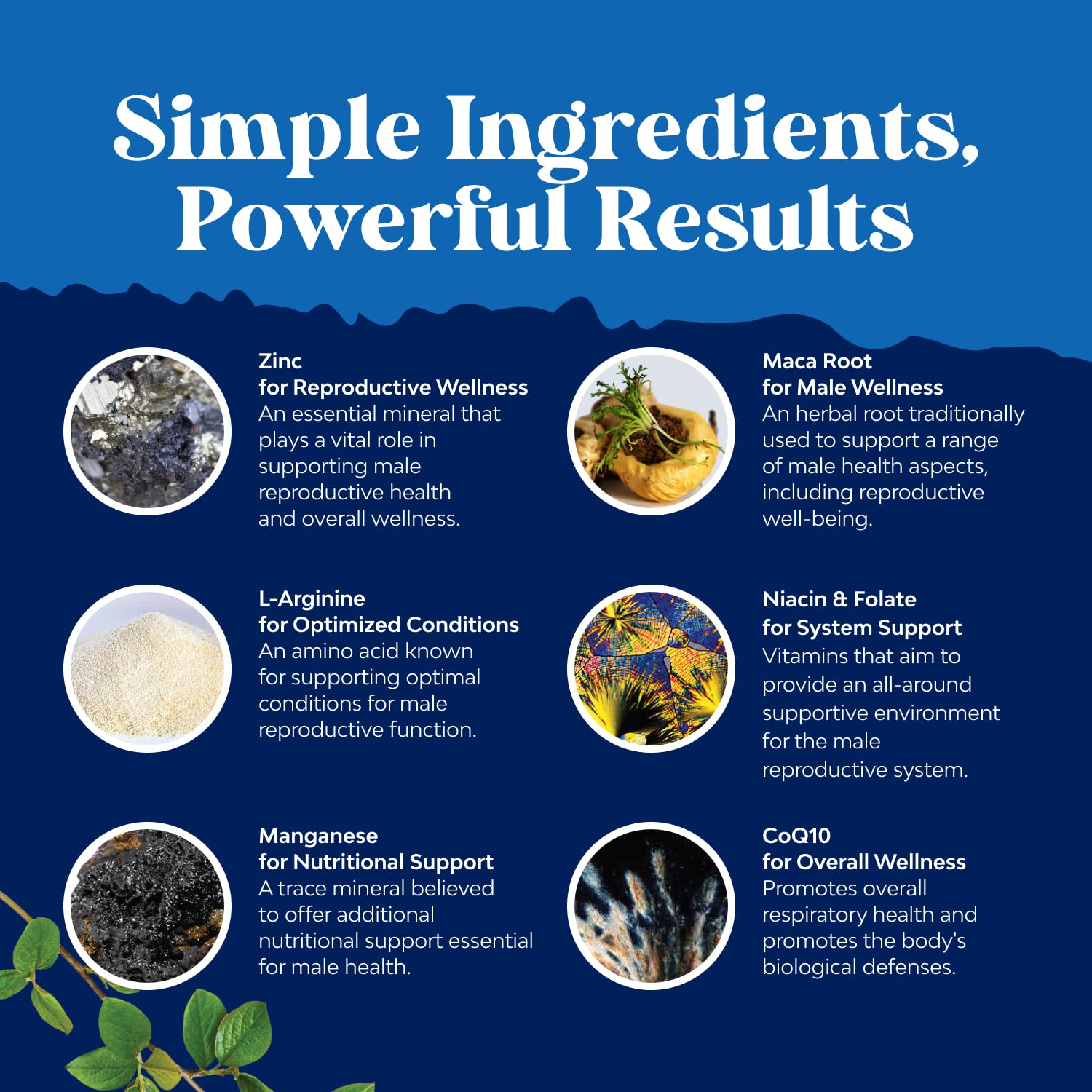 Tongkat Ali capsules from Natures Craft for male vitality