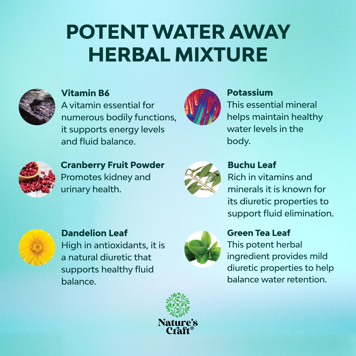 Natures Craft Water Away label closeup highlighting dandelion and green tea ingredients for gentle fluid balance.