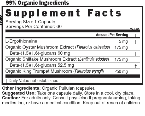 Nature's Fusions Nutri L king trumpet mushroom detail for flavorful complex