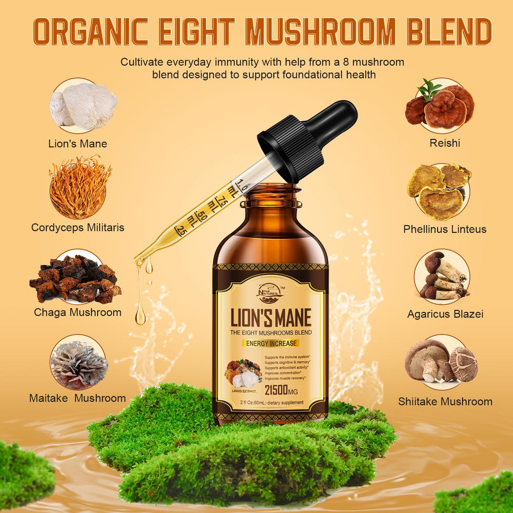 Close-up of an 8-mushroom tincture dropper for daily wellness