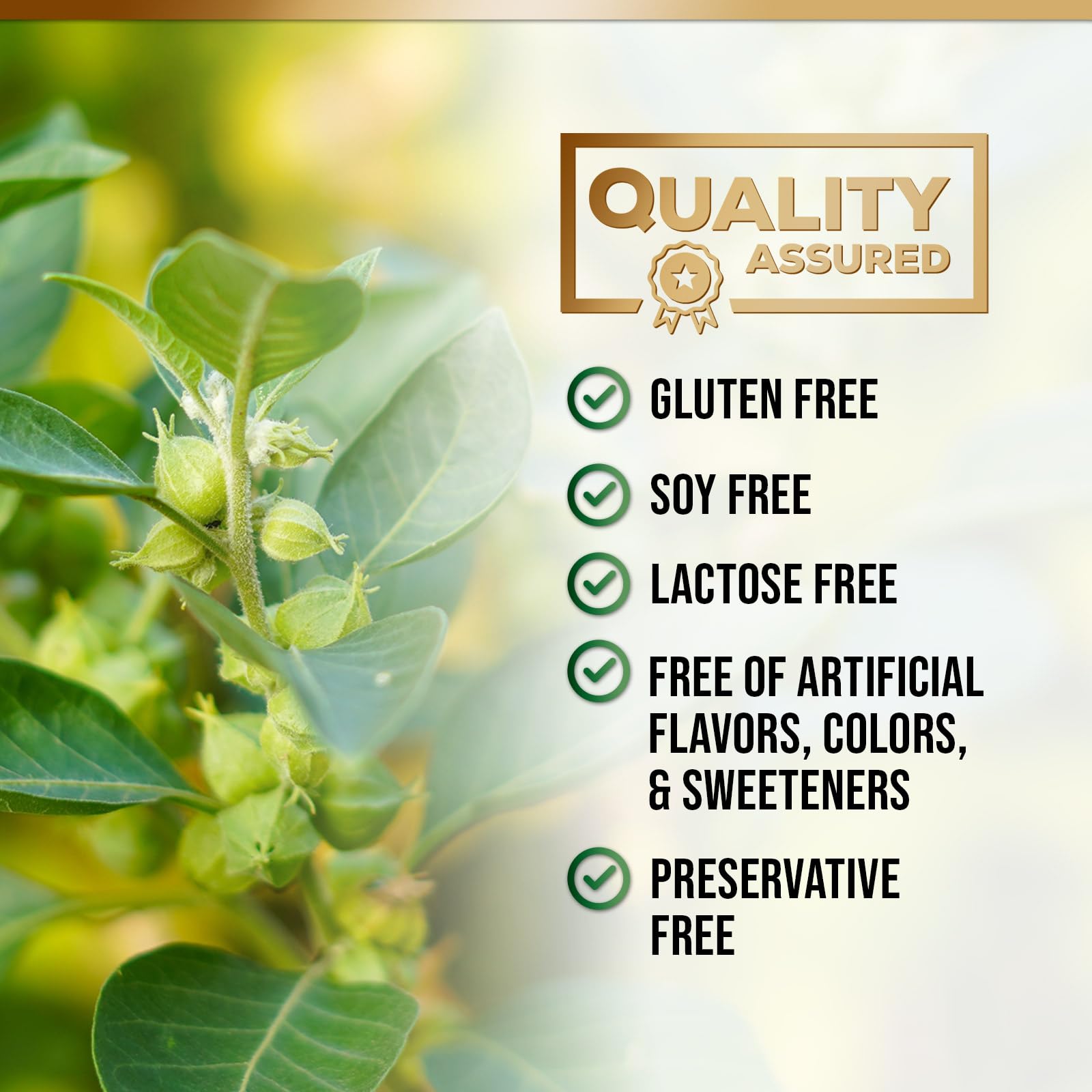 Nature's Nutrition Adrenal Cortex Complex promotes balanced energy during busy days.