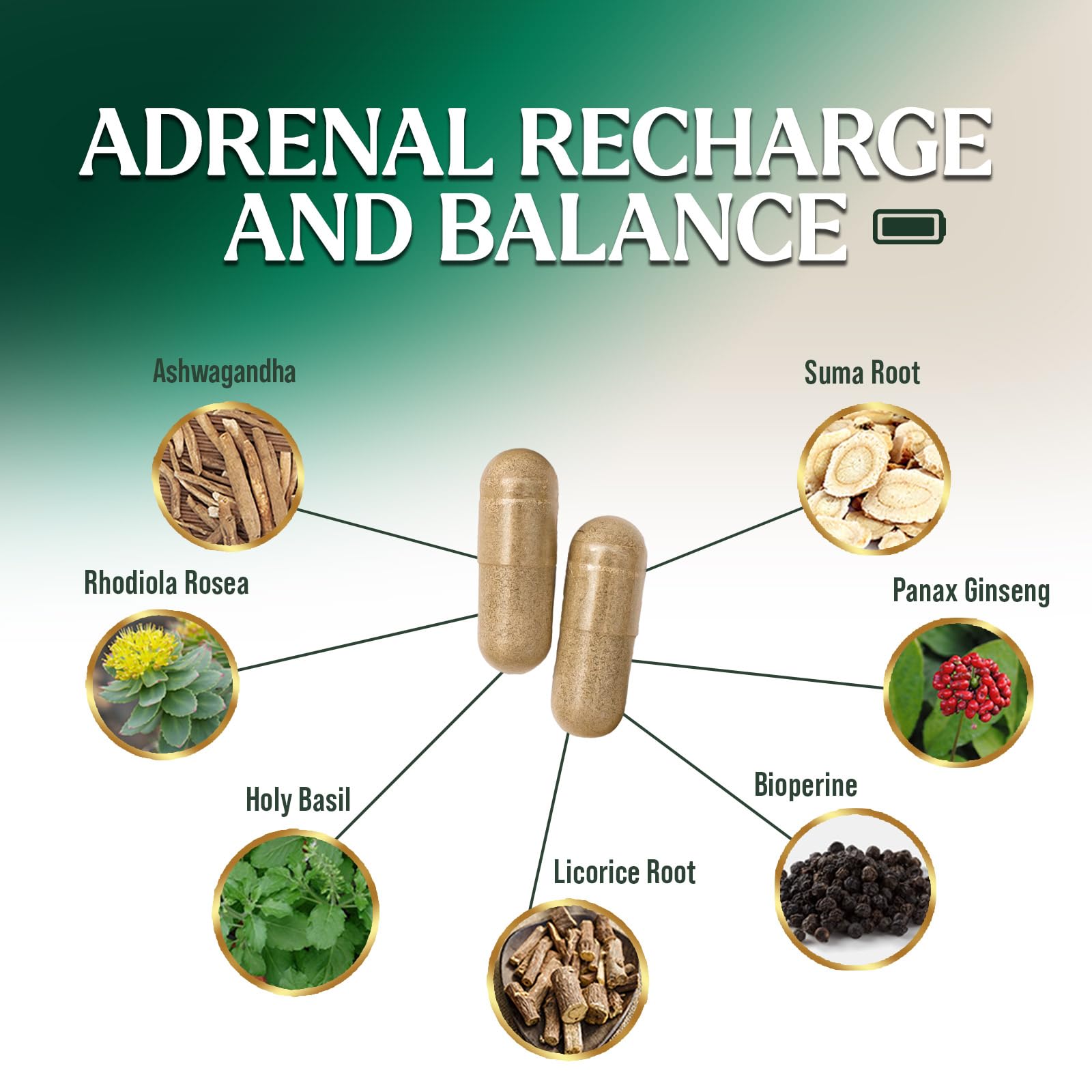 Close-up of Nature's Nutrition Adrenal Cortex Complex label showing vegan-friendly notes.