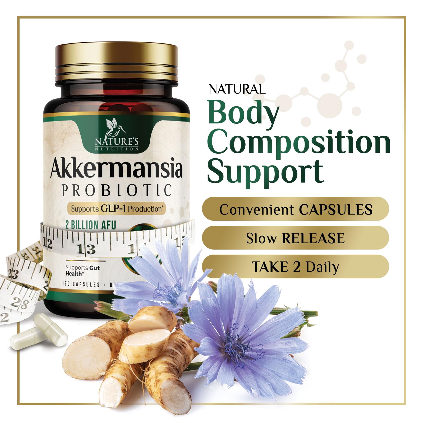 Akkermansia Probiotic 2B AFU capsules for both men and women