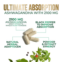 Close-up of ashwagandha root extract showing natural ingredients