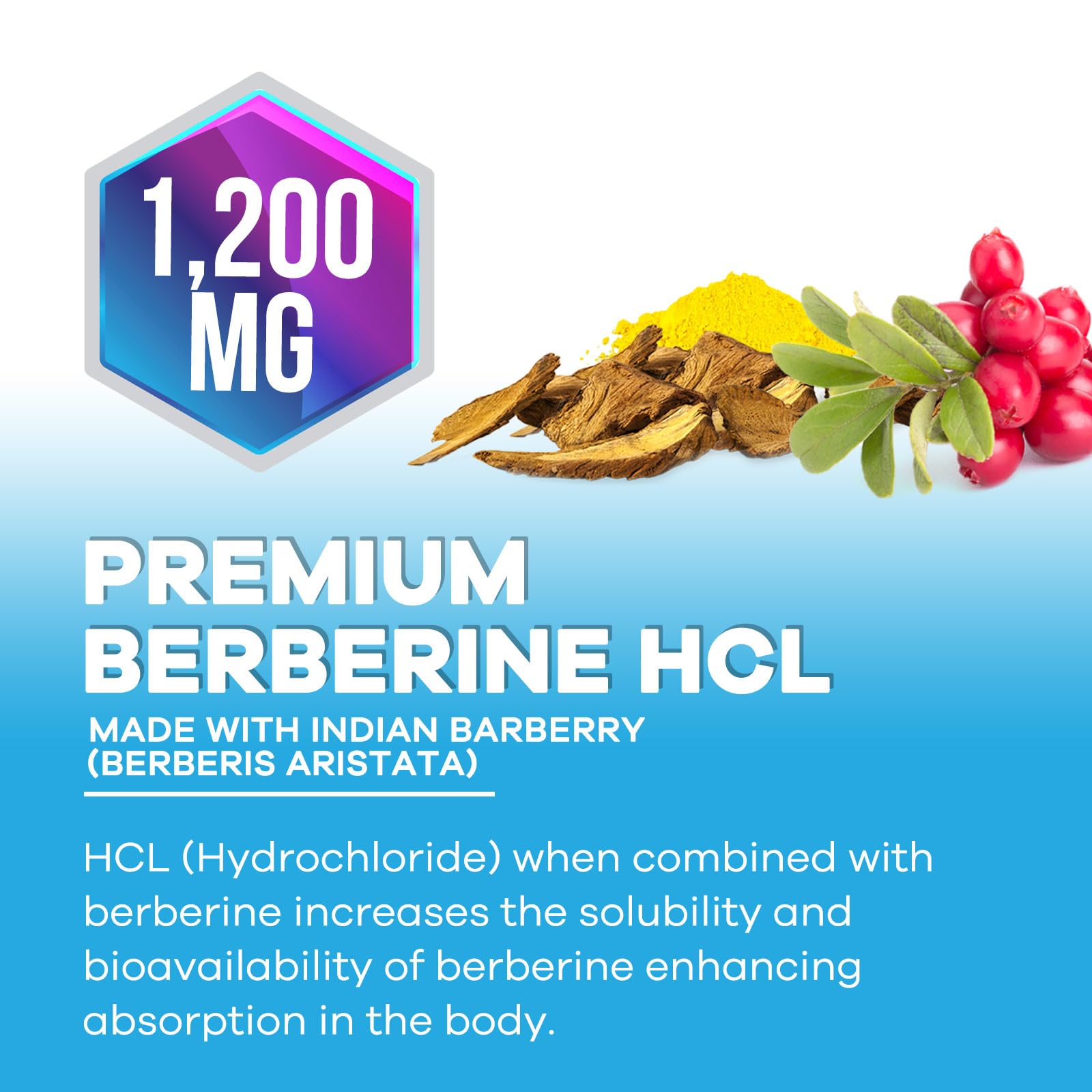 Berberine HCL 1200mg label highlights vegan, gluten-free, and purity.