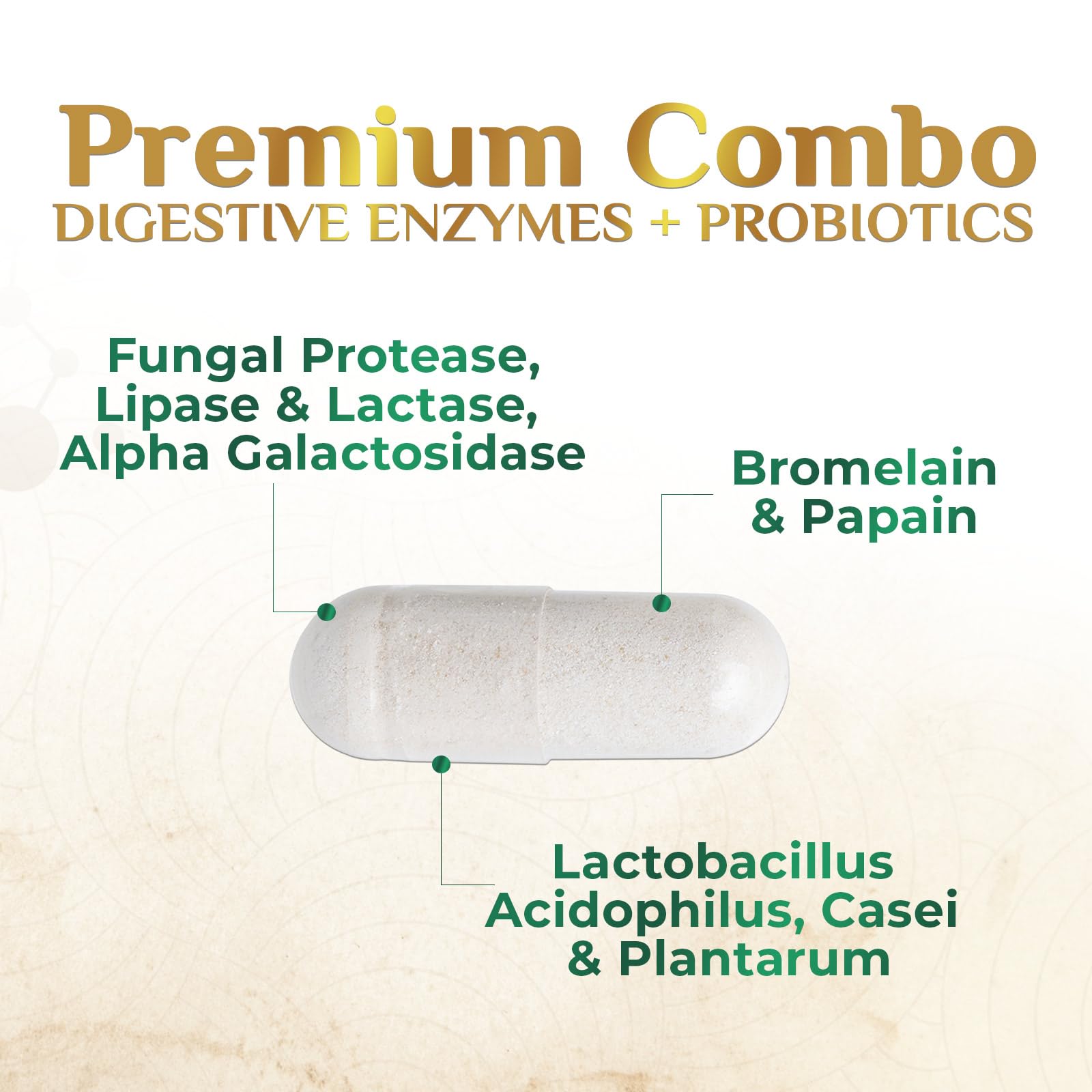 Nature's Nutrition bromelain and papain panel for protein digestion
