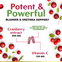 Nature's Nutrition cranberry capsules close-up showing uniform dosing for daily use.