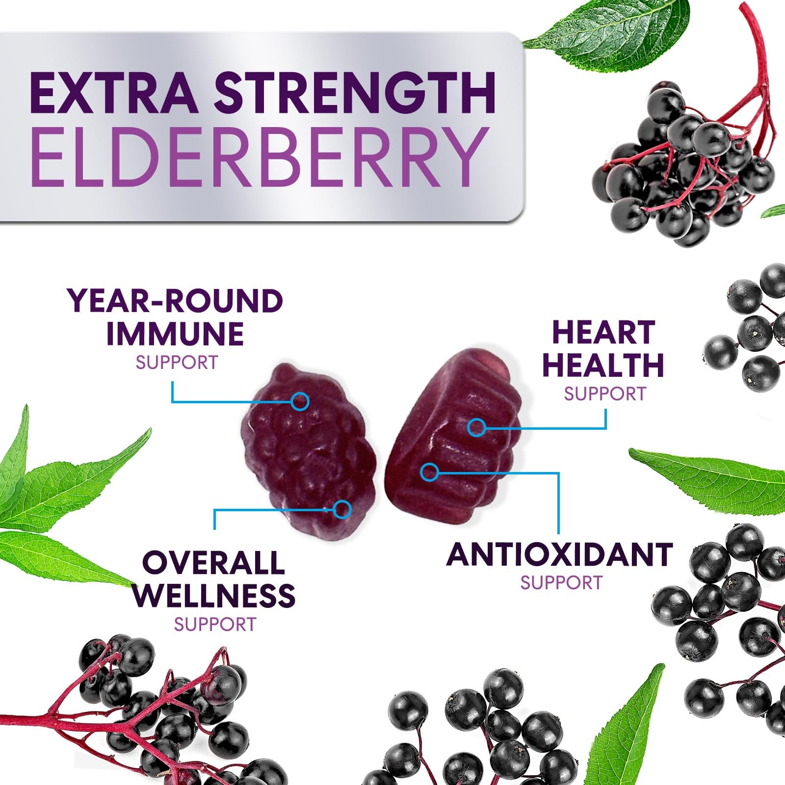 Family table with Nature's Nutrition elderberry gummies for shared wellness