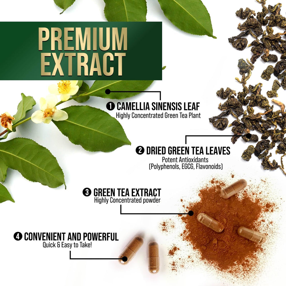 Nature's Nutrition Green Tea Extract capsules closeup showing smooth, easy-to-swallow texture