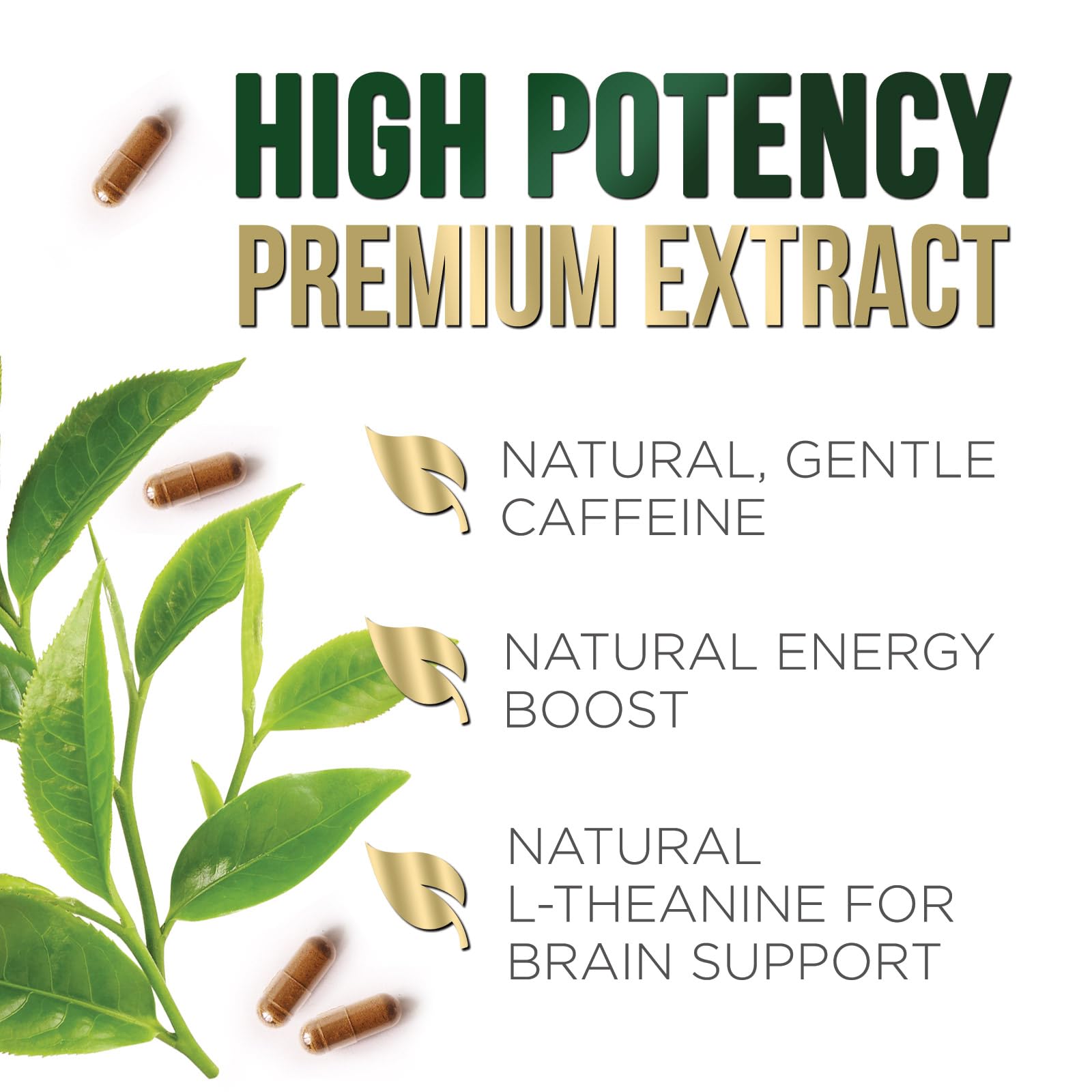 Nature's Nutrition green tea extract daily-use packaging inviting routine supplementation
