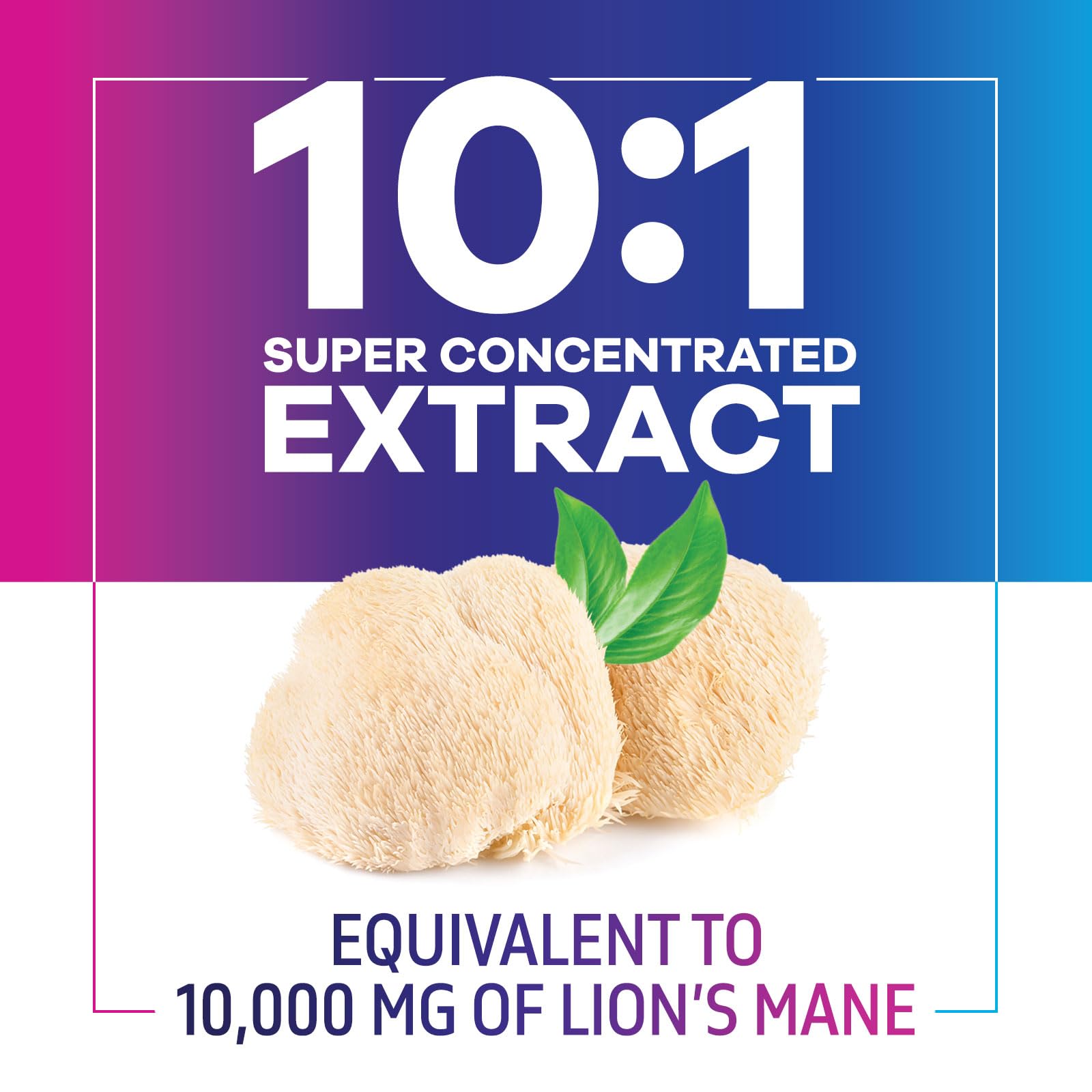 Nature's Nutrition Lions Mane capsules in coffee ritual setup.