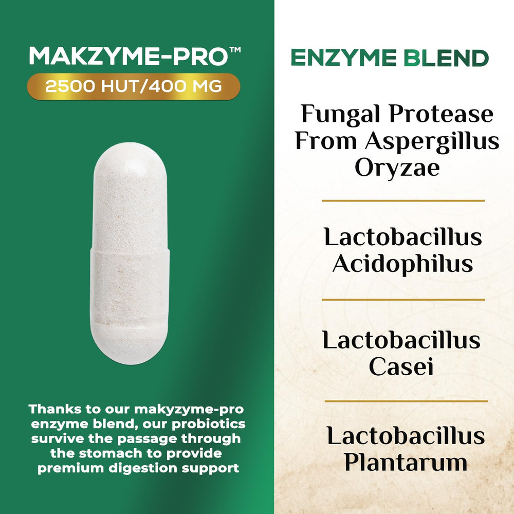Nature's Nutrition Makzyme blend illustration highlighting digestion support