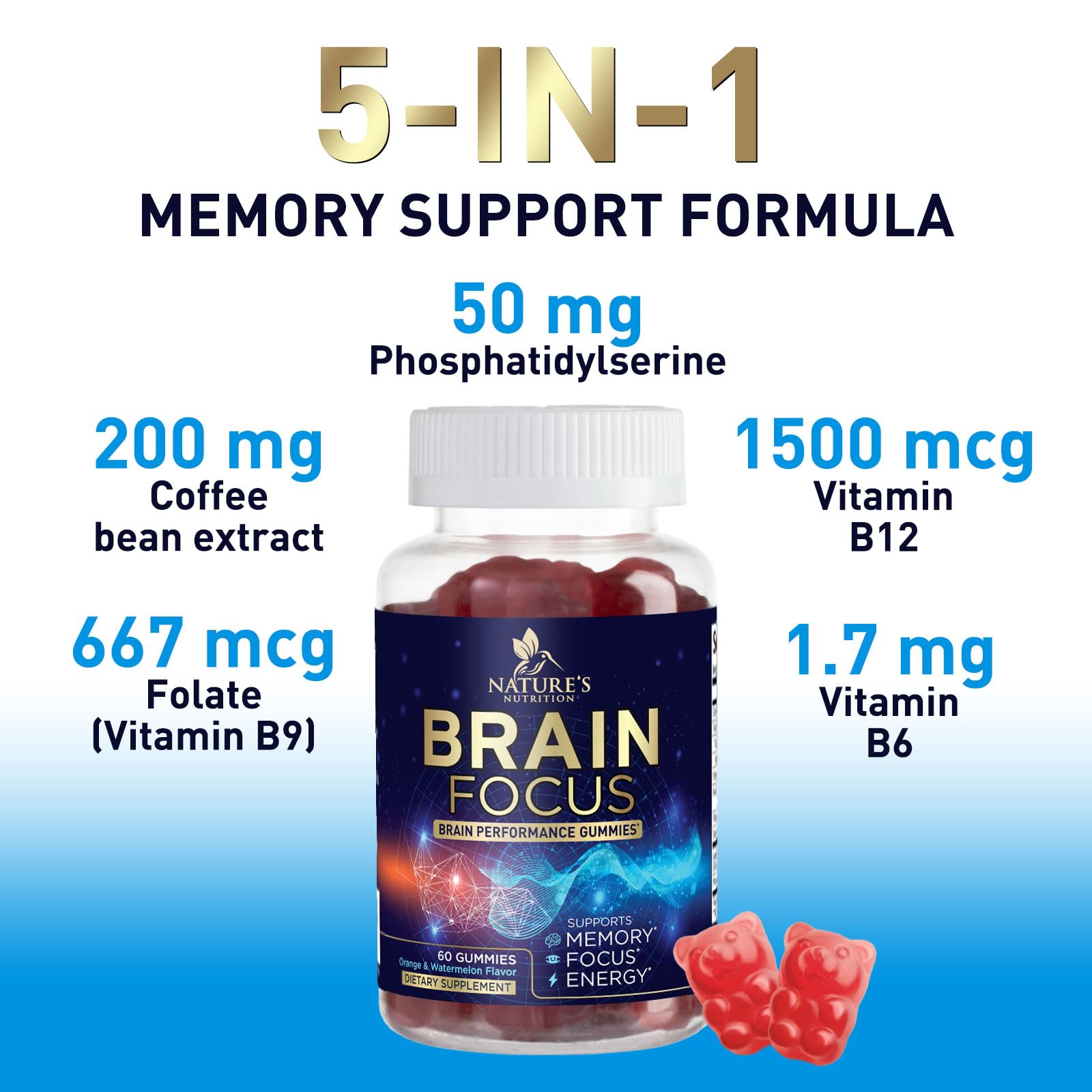 Nature's Nutrition phosphatidylserine ingredient close-up highlights key memory-friendly nutrient