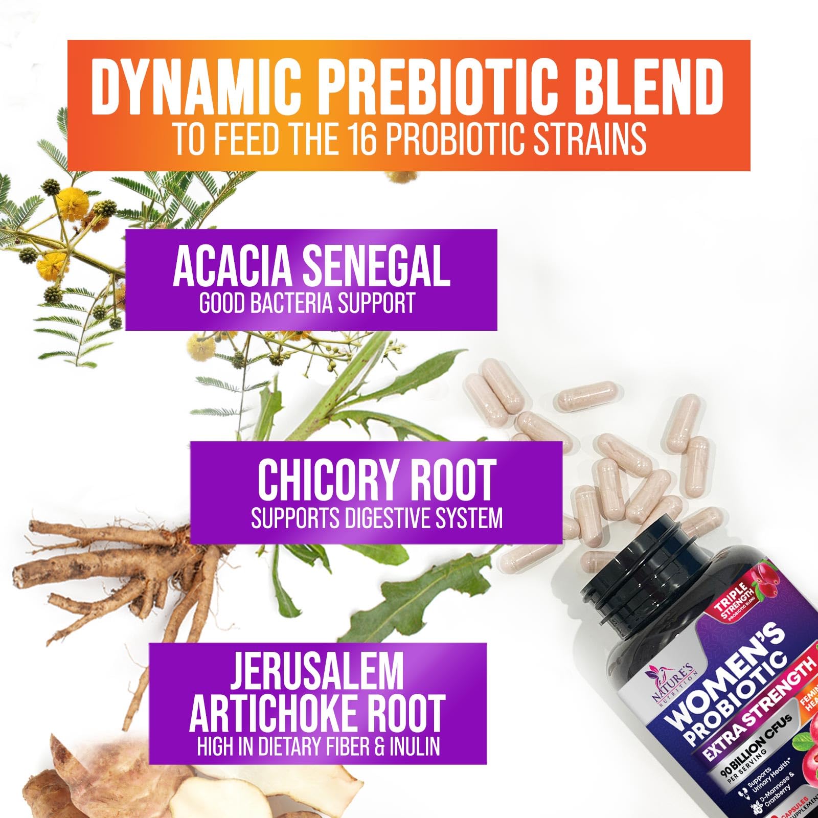Nature's Nutrition prebiotic fiber blend illustrating nourishment for gut bacteria.