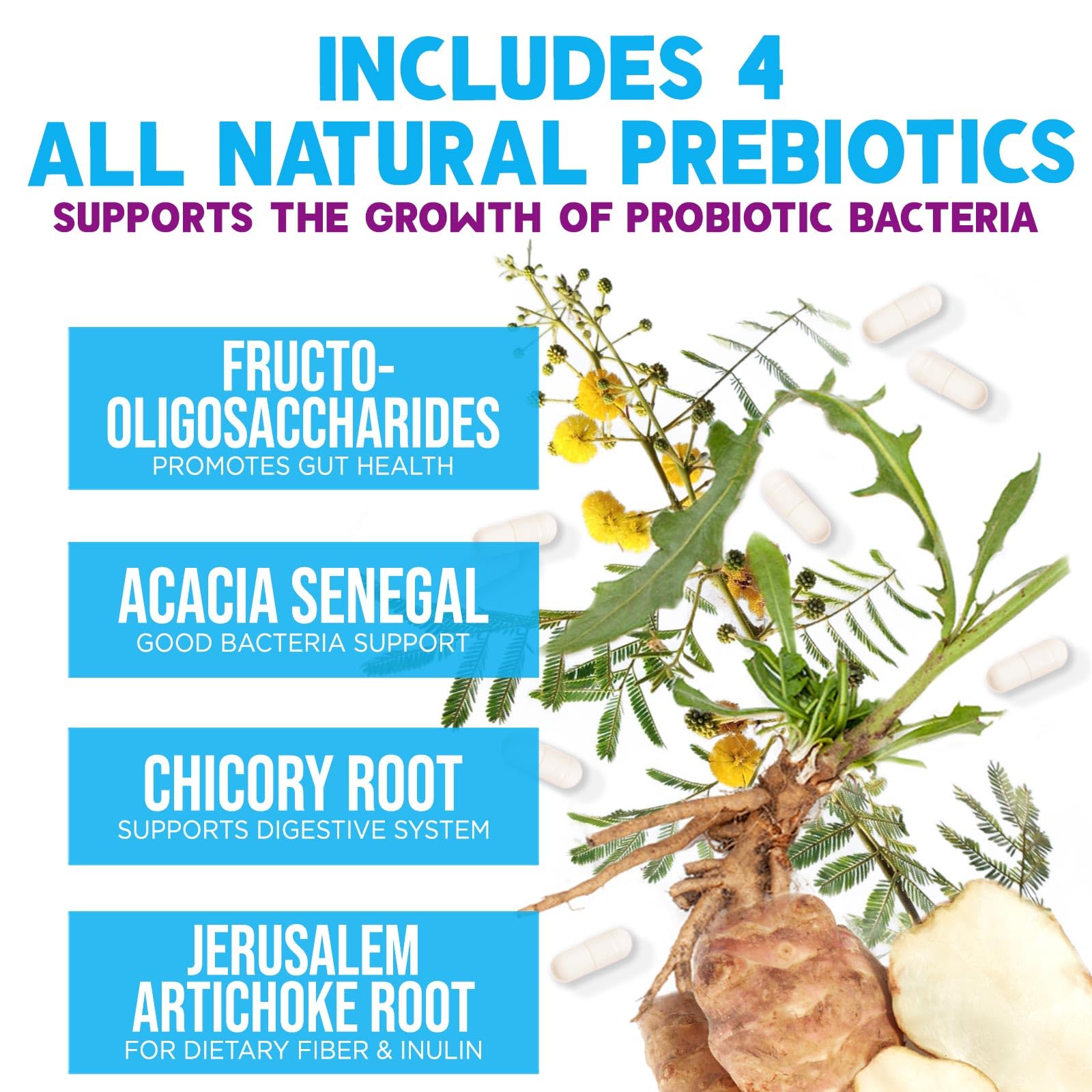 Nature's Nutrition Probiotics in morning routine for daily wellness