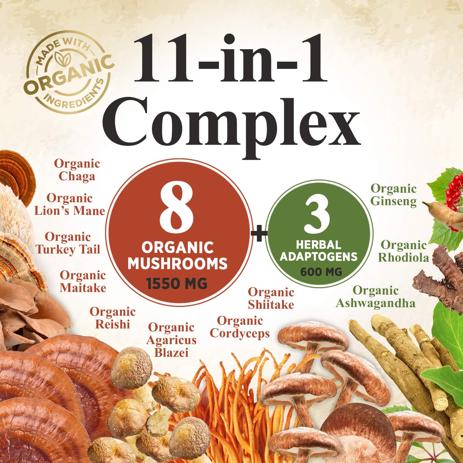 Nature's Nutrition rich Reishi Cordyceps Chaga Turkey Tail blend in pouch.