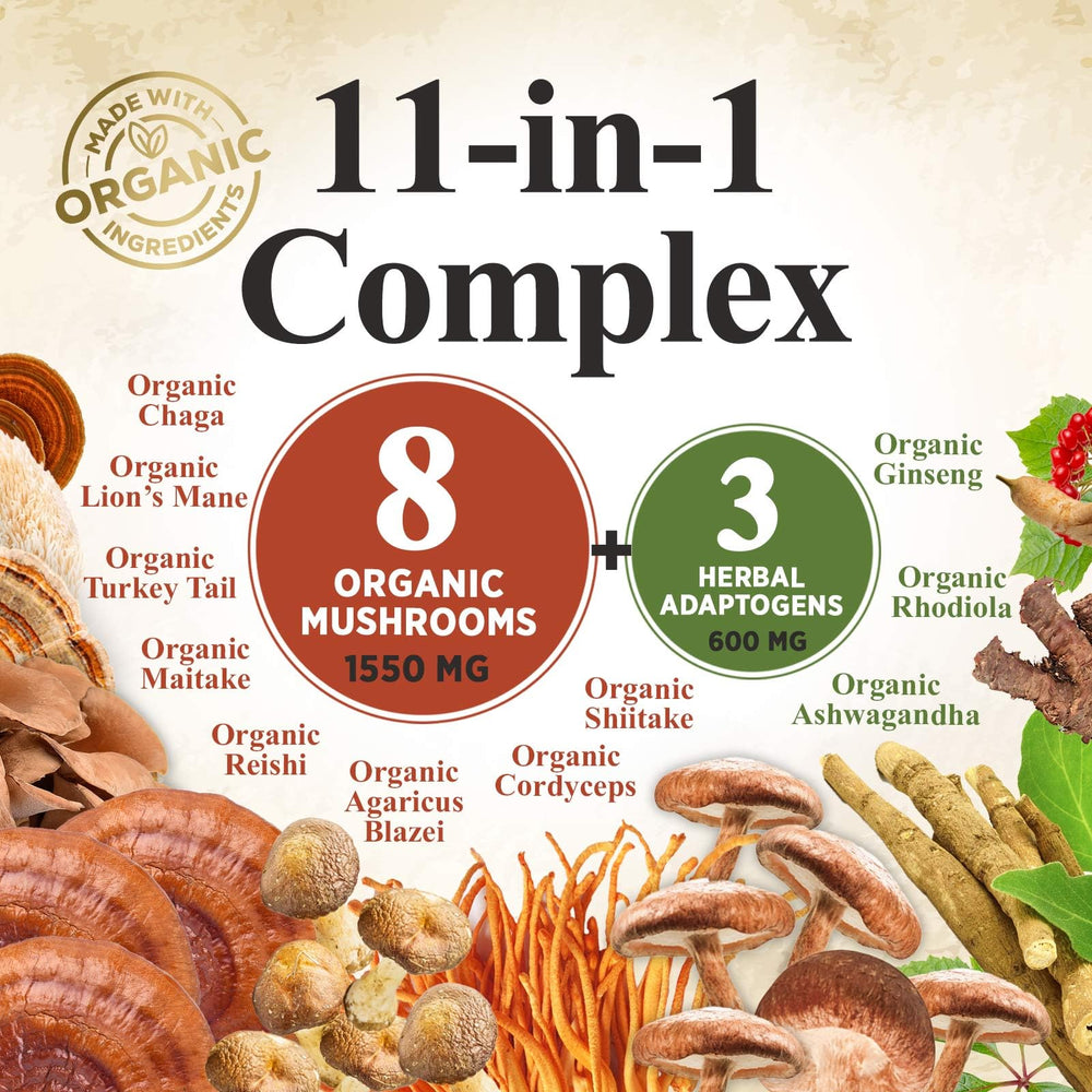Nature's Nutrition rich Reishi Cordyceps Chaga Turkey Tail blend in pouch.