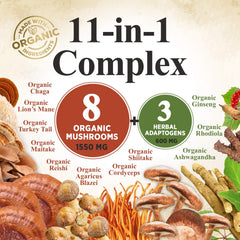Nature's Nutrition rich Reishi Cordyceps Chaga Turkey Tail blend in pouch.