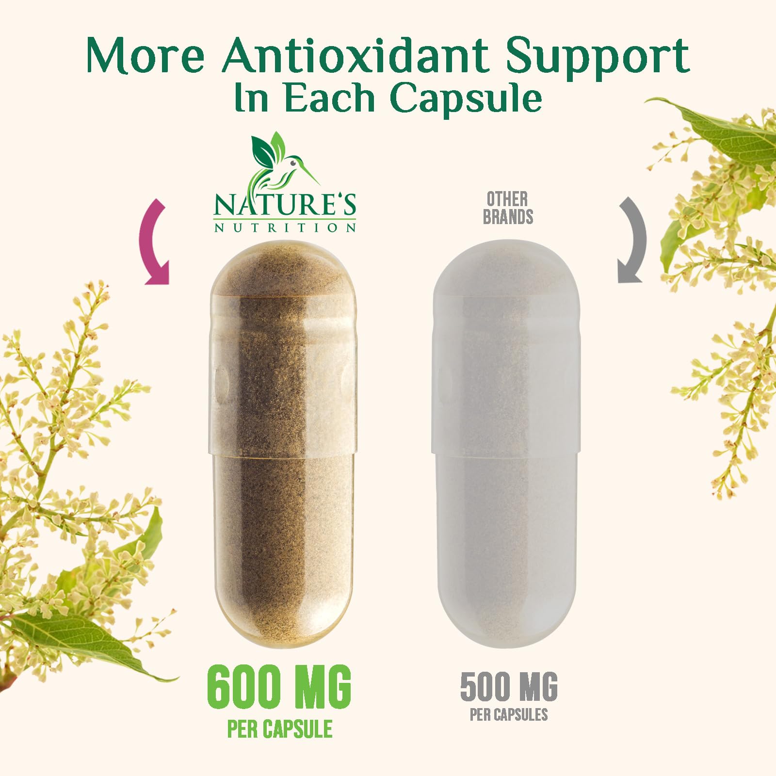 Nature's Nutrition resveratrol GMP seal emphasizing quality control