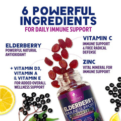 Nature's Nutrition Sambucus elderberry extract image emphasizes natural plant-based support.