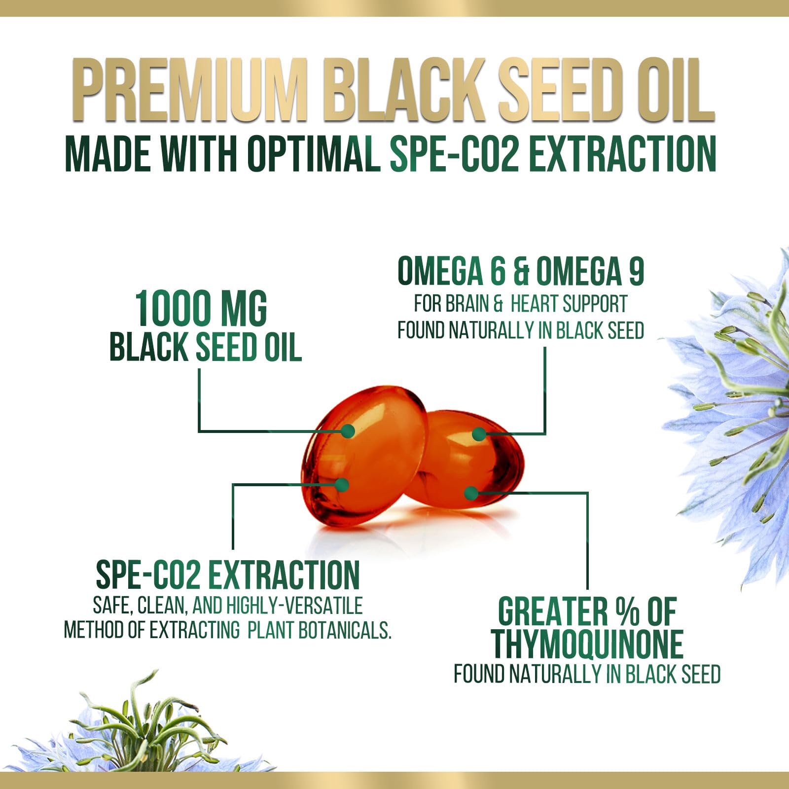 Amber bottle with seal showcases antioxidant-rich Nigella sativa oil.