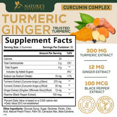 Nature's Nutrition turmeric ginger blend gummies visual emphasizing daily joint support