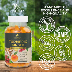 Nature's Nutrition turmeric-ginger blend visual emphasizing antioxidants