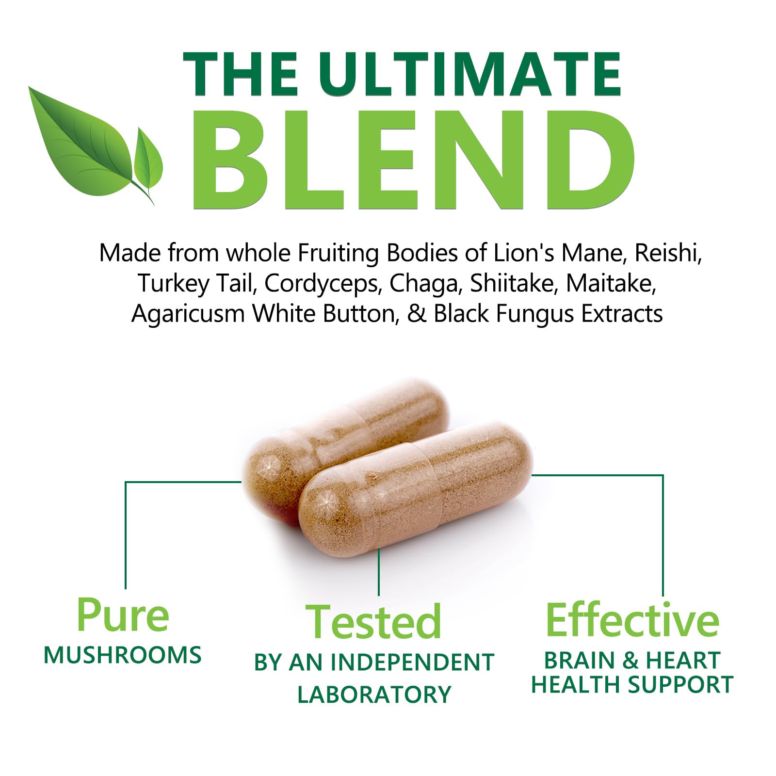 Nature's Nutrition USA-made non-GMO seal on bottle label.