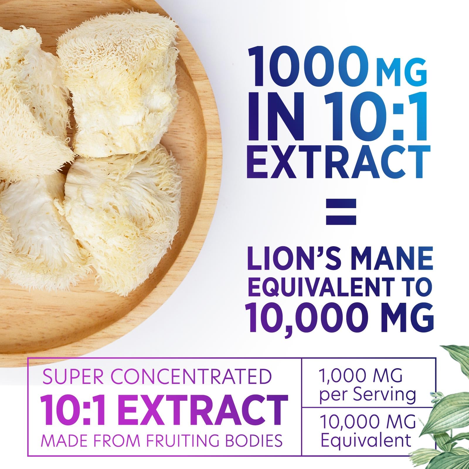 Nature's Nutrition Lions Mane capsules with label emphasizing immune health support.
