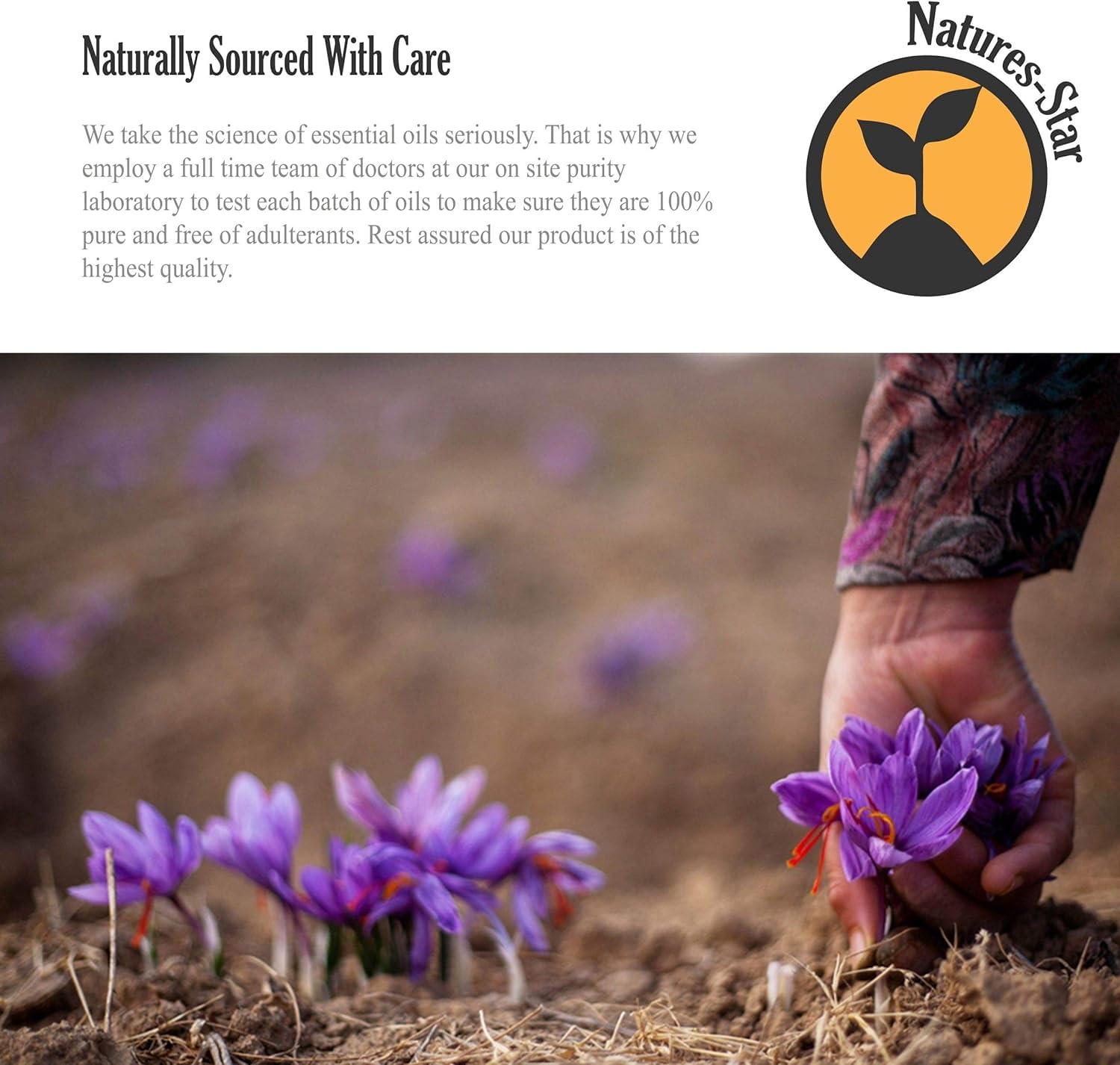 Natures-Star Tea Tree Oil for hair care support in blends with rosemary or peppermint.